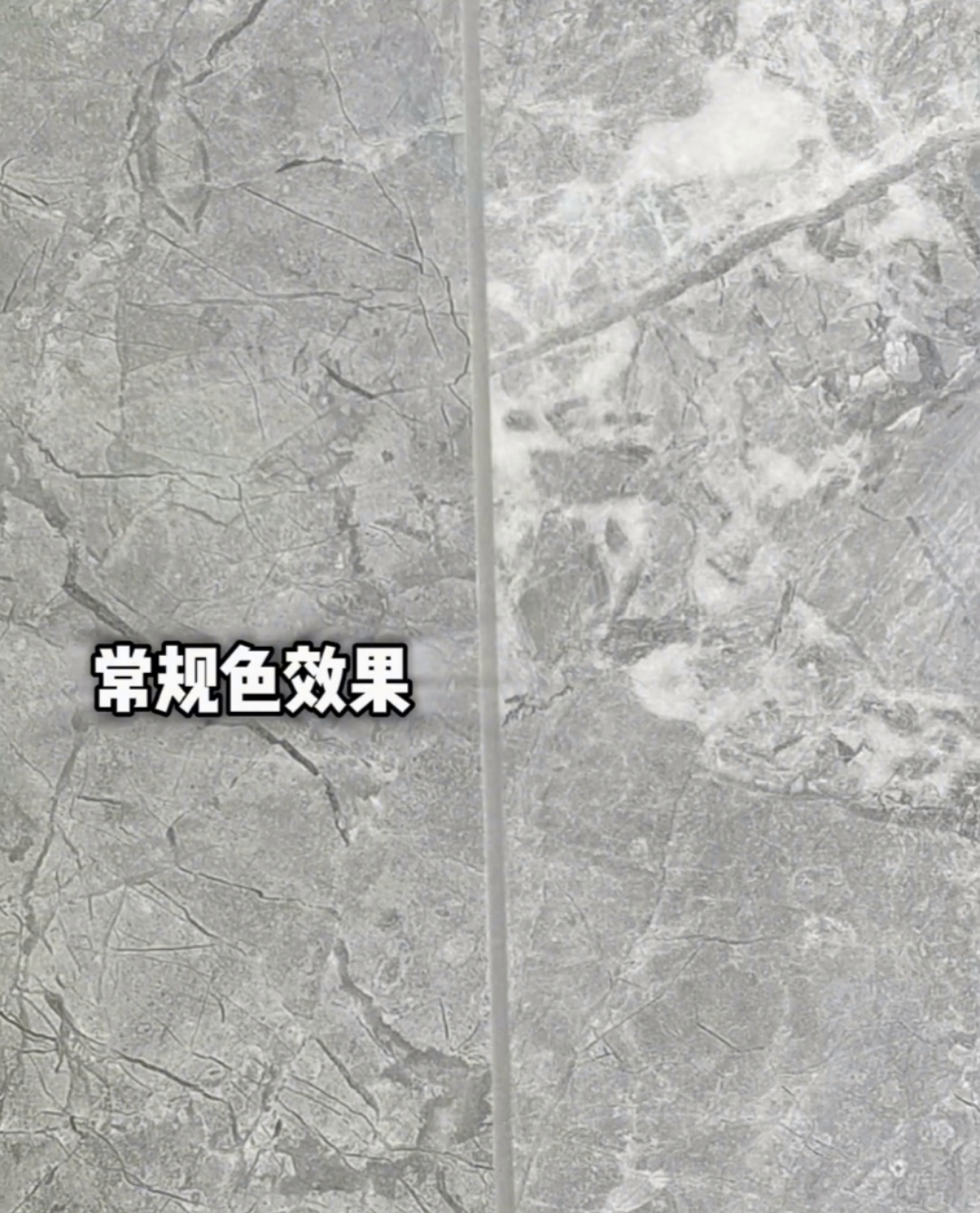 微信图片_20240626184246.jpg
