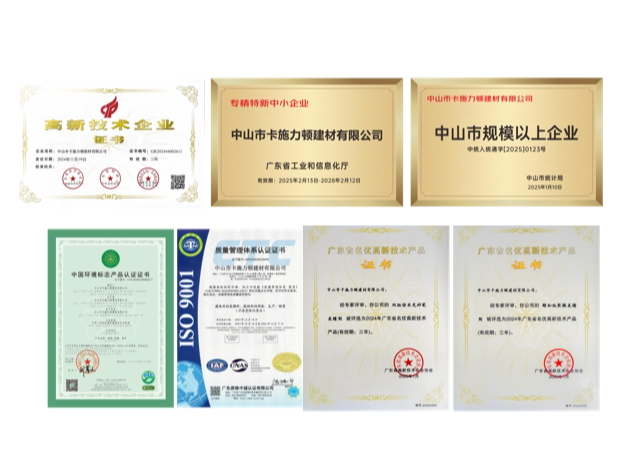 中山市卡施力顿有限公司（砖丽美缝）：荣誉见证卓越之路