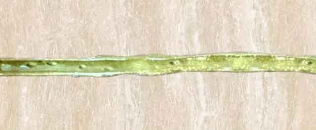 瓷砖美缝剂